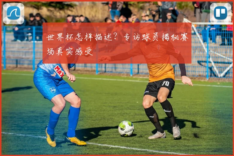 世界杯怎样描述？专访球员揭秘赛场真实感受
