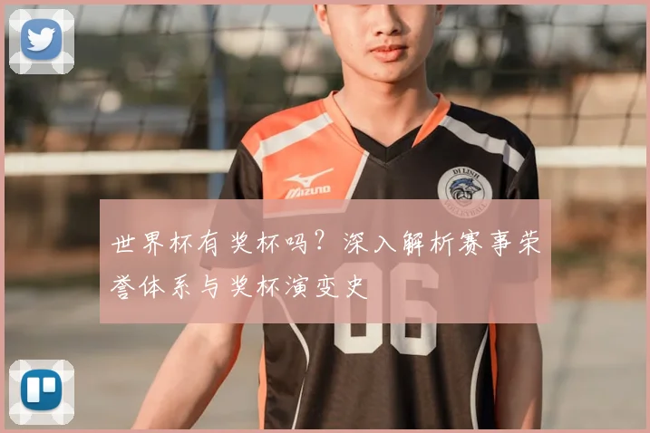 世界杯有奖杯吗？深入解析赛事荣誉体系与奖杯演变史