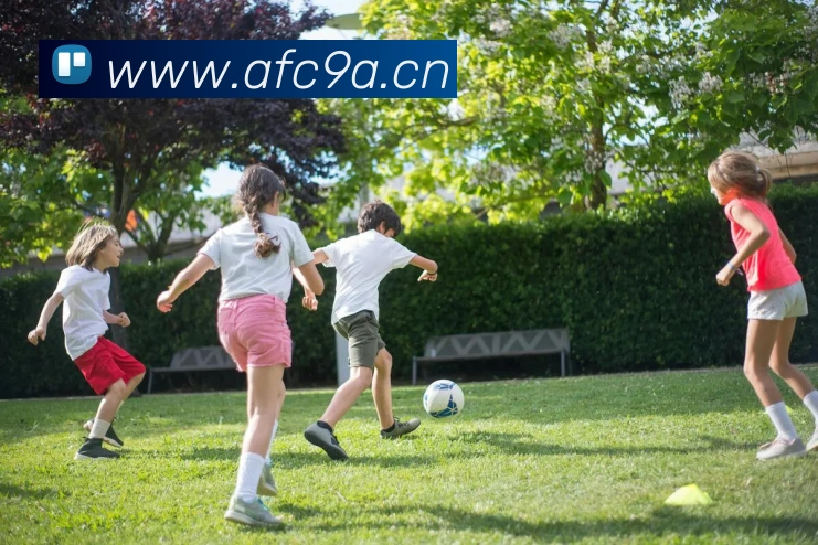 leyu乐鱼在线登录最新官网APP 封面图